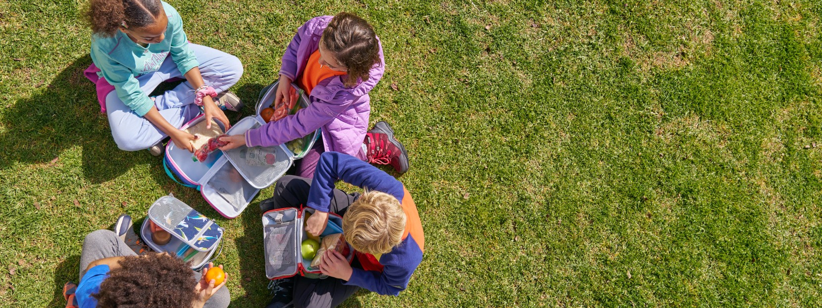 A shot from overhead of 4 kids eating lunch from their lunch boxes outside on the grass.