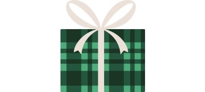 Whimsical illustration of a green plaid wrapped present with a white bow.