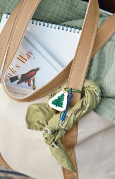 Close-up of a beige tote with tan straps, holding a notebook and bird guide, decorated with a green bandana and tree charm.
