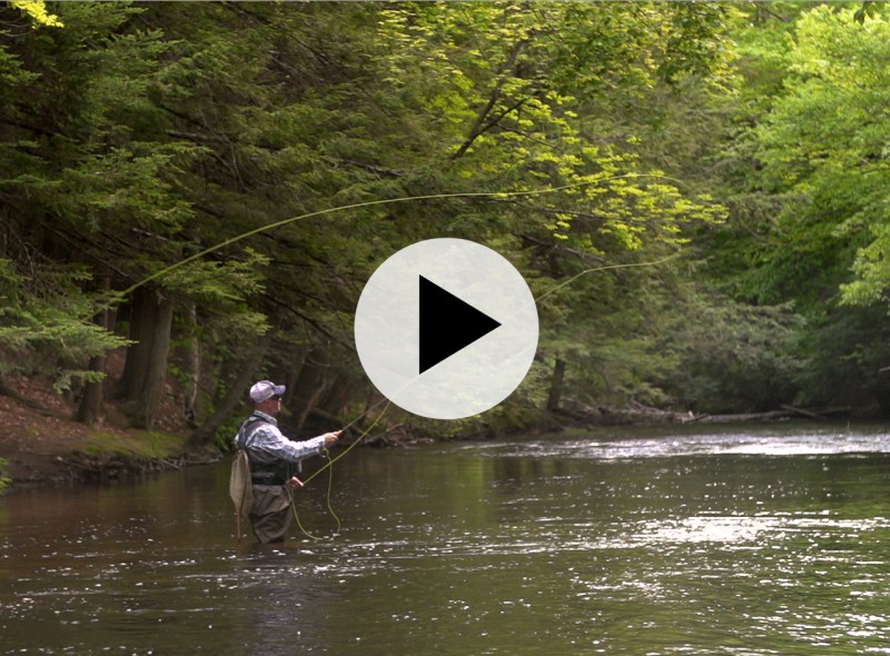 Man fly fishing in a stream.
