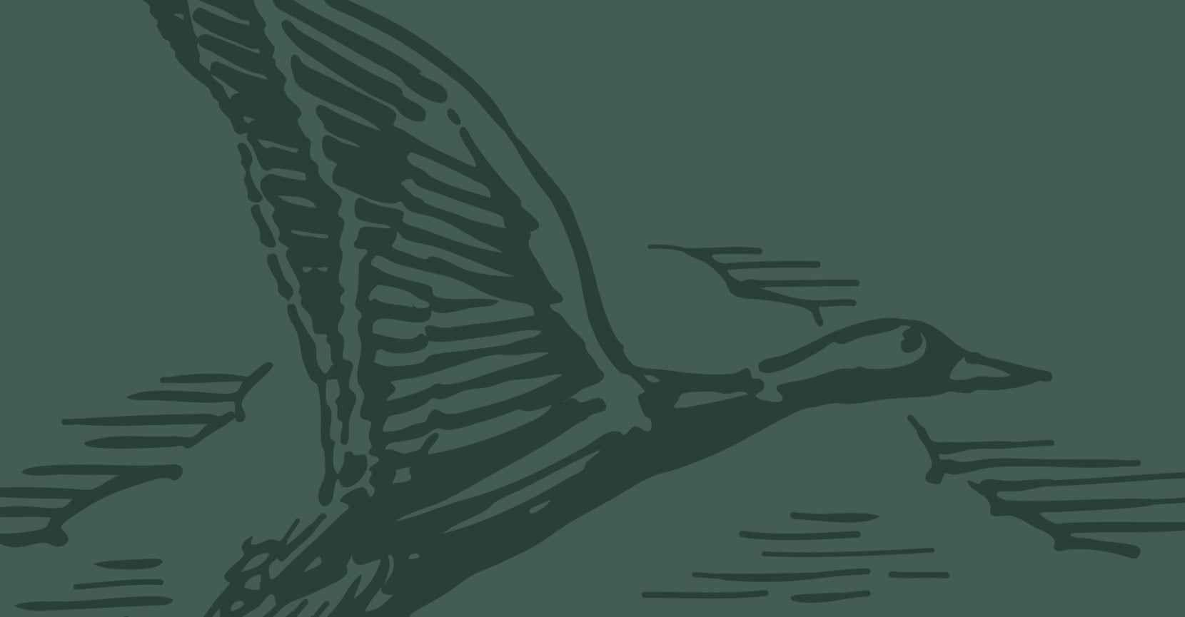 Illustration of a duck in flight above water, rendered in dark green tones with simple line details.
