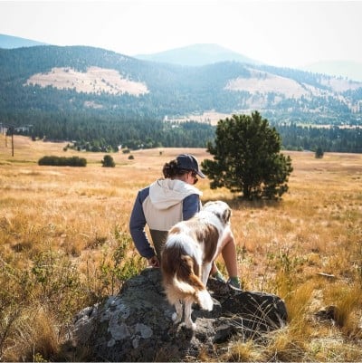 A field of yellow grass with mountains in the background, a woman and dog sitting on a rock in the foreground.