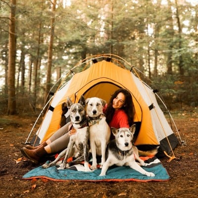 A woman and 3 dogs sitting in the doorway of a tent in a wooded campsite.